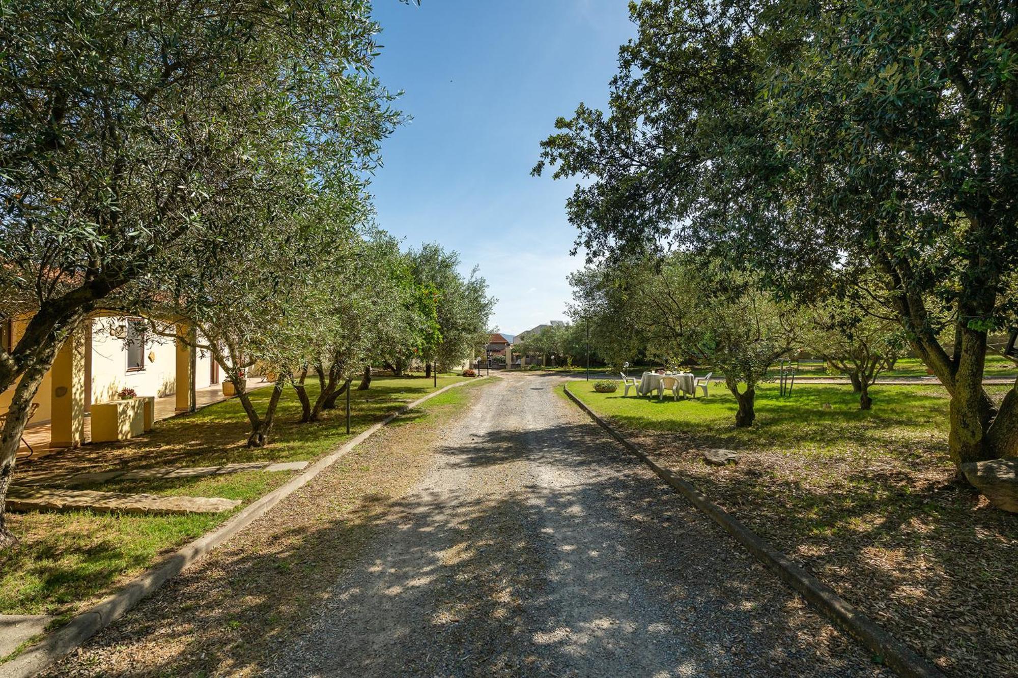 Residenza Parco Degli Ulivi Villa Villamassargia Exterior photo
